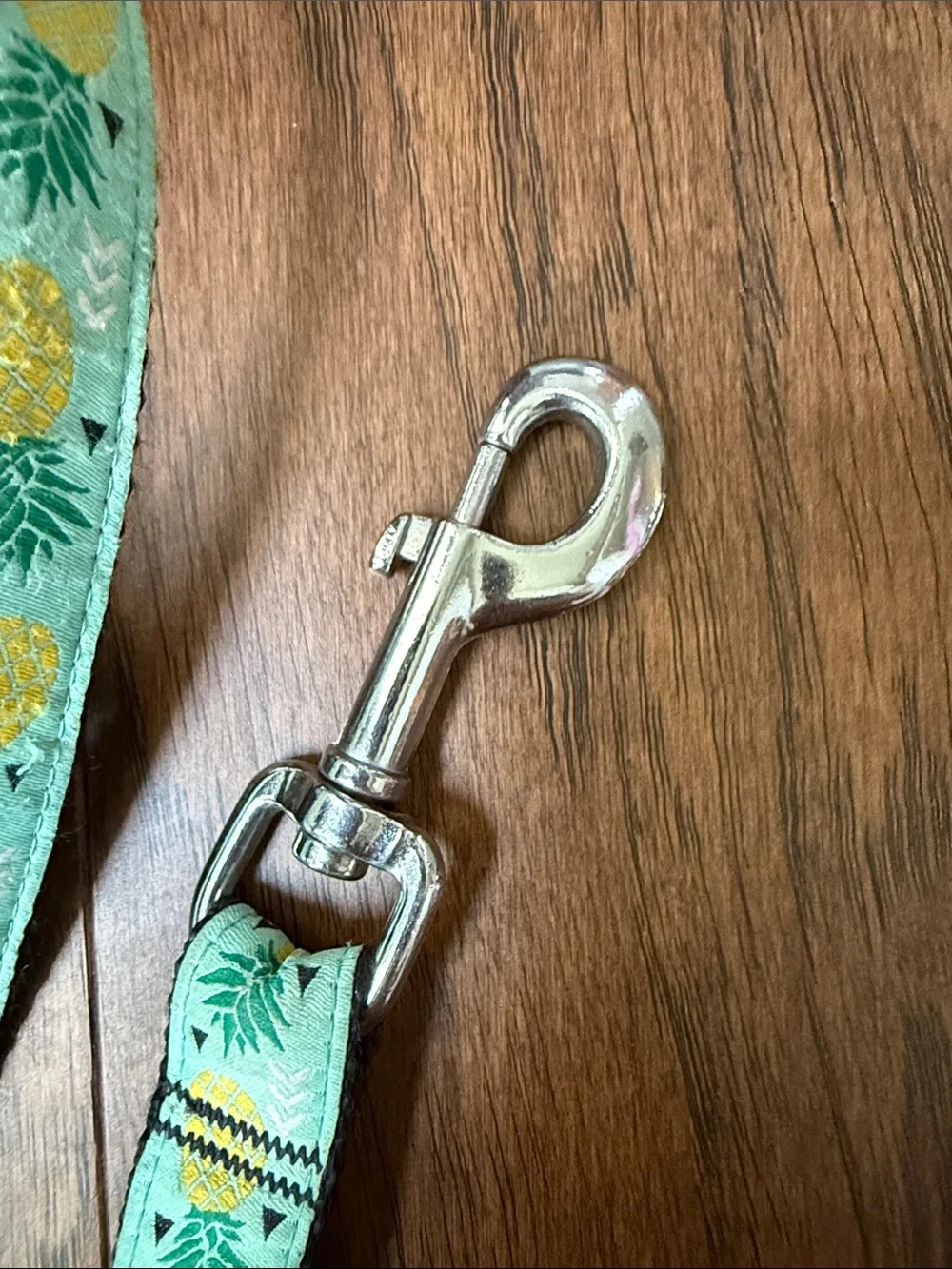RC pets stylish aqua